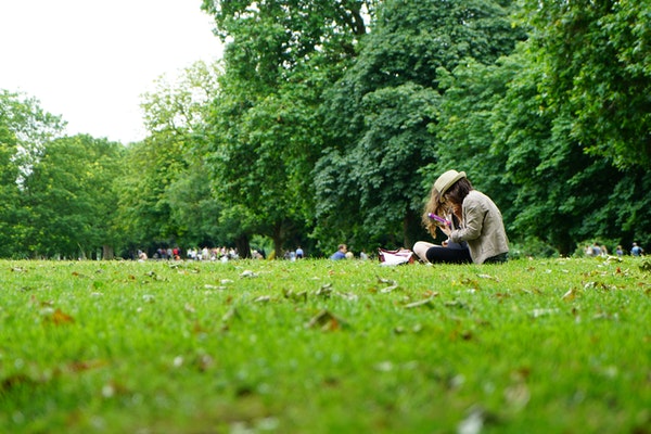 people-sitting-on-green-grass-field-1528361