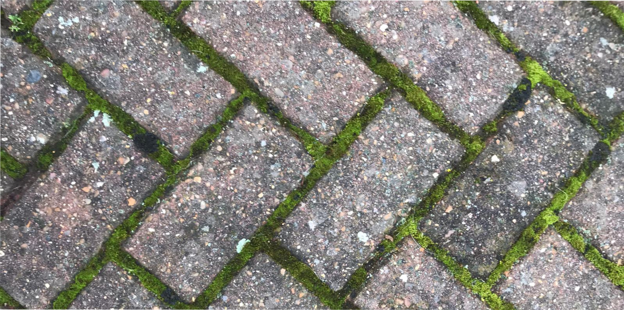 Before Picture Of Moss Treatment On Block Pavement