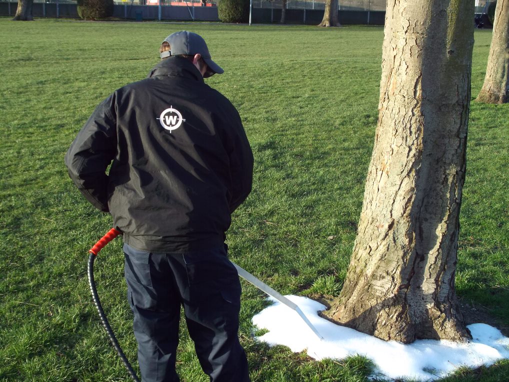 Man spraying foamstream on tree