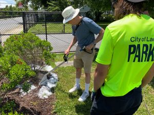 Foamstream used on weeds