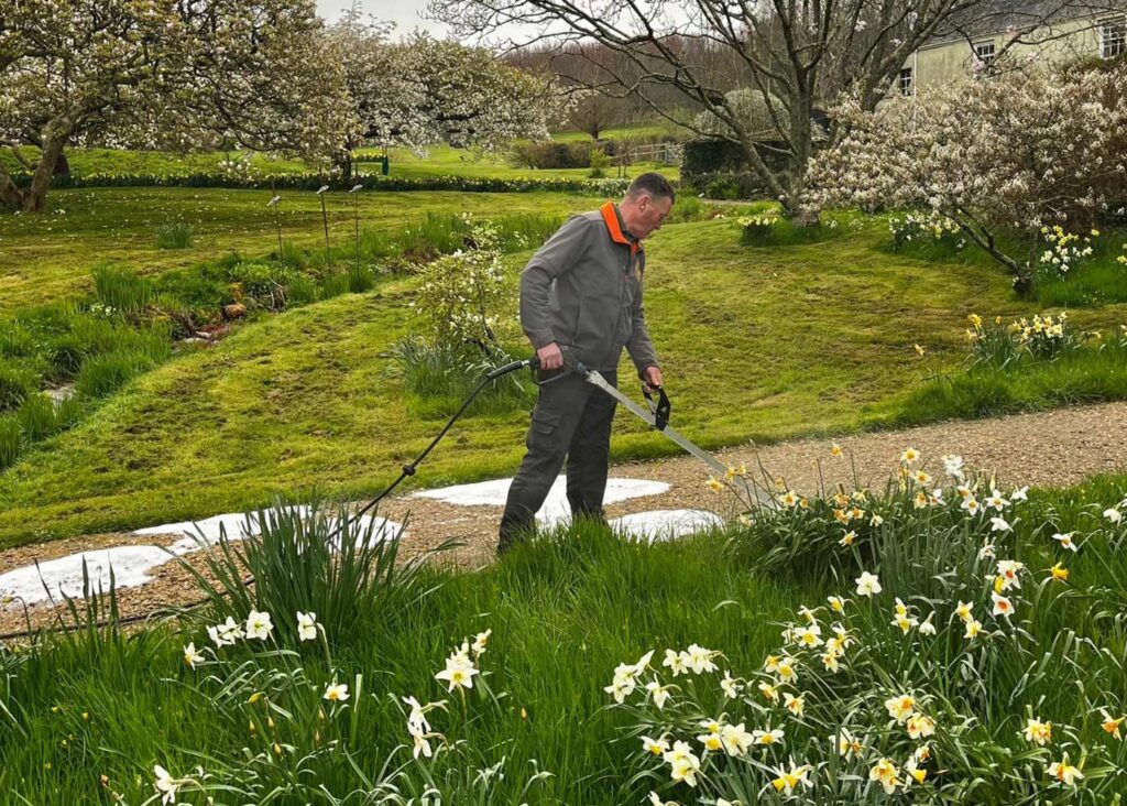 Spraying weeds with hot foam